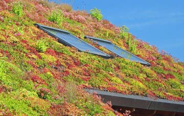 Pentre Galar living roof systems