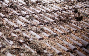 Pentre Galar roof cleaning companies